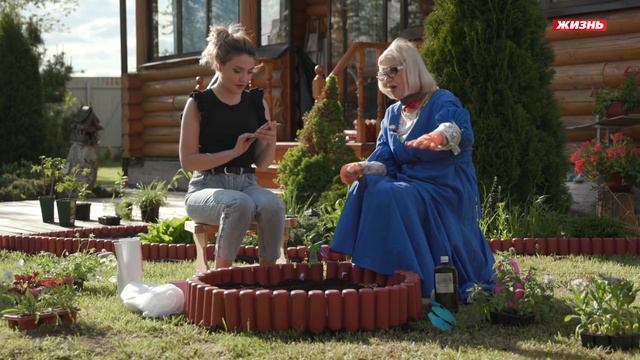 Двулетние цветы! Украшаем сад заранее. смотреть онлайн