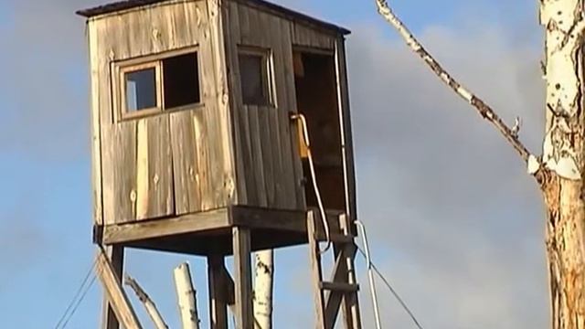 Лузинская дача (К ЗИМОВКЕ ГОТОВЫ) смотреть онлайн