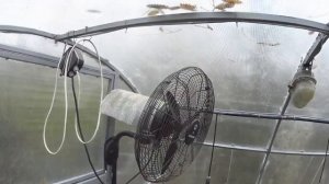 Ответы на вопросы № 1. "Парник" (часть 2).