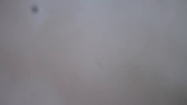 Громкий чих