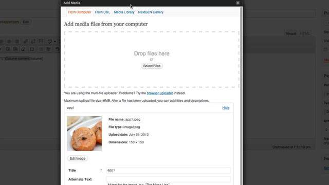 WordPress Series (Part 5): Using shortcodes to create static pages смотреть онлайн