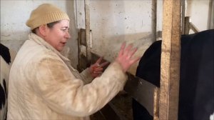 Для новичков о коровах/3 серия/Как и чем кормить корову? Кормовая база для коровы.