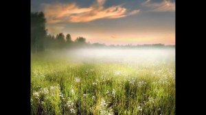 научиться фотографировать на никон 5100