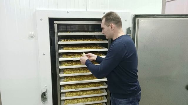 Сушим яблоки: влияние уставки температуры, влажности и скорости воздуха на качество продукта! Разбо смотреть онлайн