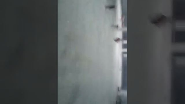 так строится Бимарт смотреть онлайн