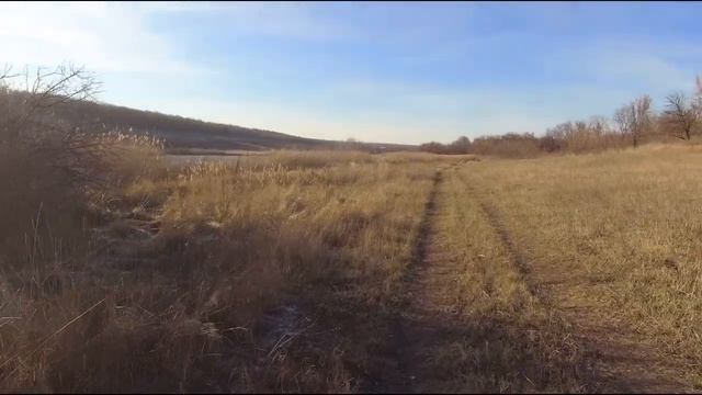 с. Берховка. Стал лед на ставке 2021 г. смотреть онлайн