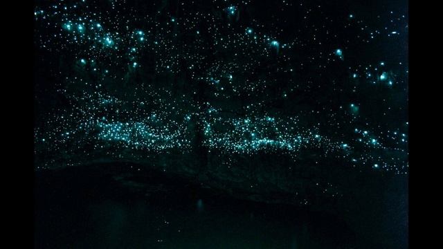 H. P. Lovecraft -- The Beast In The Cave (audio Book)