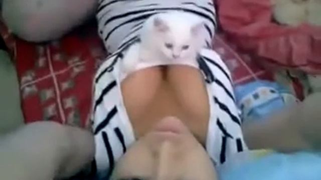 Девушка играет с котом смотреть онлайн
