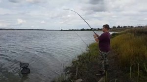 Сетка с кормушкой с АлиЭкспресс