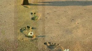 Анатолий Кулагин - Караван