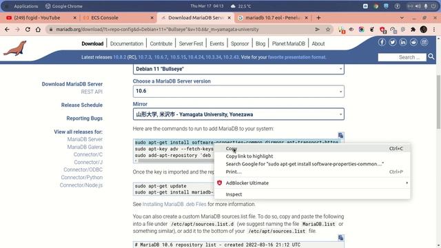 How To Install MariaDB 10.6 Database Server on Debian 11 (Bullseye) with Alibaba ECS смотреть онлайн