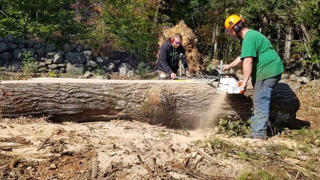 Stihl MS880 Milling A Huge Red Oak (Alaskan Chainsaw Mill) смотреть онлайн