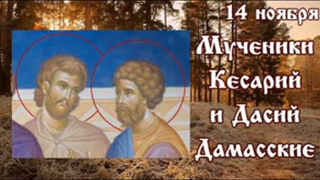 Жития святых 14 ноября смотреть онлайн