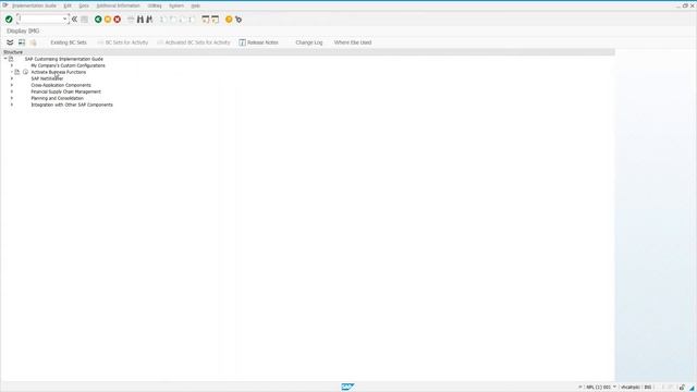 SAP - Customize IMG structure with custom activities/transactions смотреть онлайн