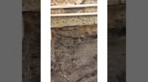 Как поменять пол в частном доме своими руками/Часть третья.