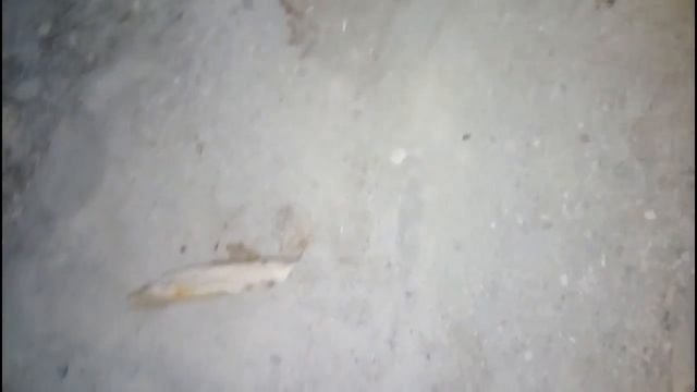 Ремонт в хрущевке.Своими руками. смотреть онлайн