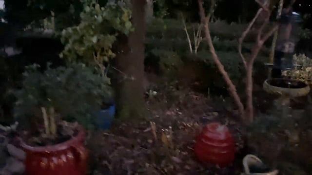 Вырубила всё под корень, уровень кислорода в крови...США, Флорида смотреть онлайн