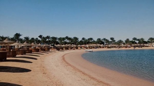 Desert Rose 5* обзор Египет 2023 Uncover the Secret of the Desert Rose 5* Egypt Review in 2023!