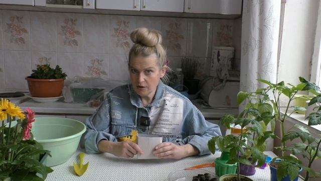 Торфяные таблетки и букетная посадка: как совместить? смотреть онлайн