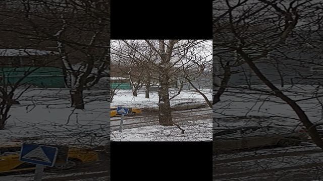 VID_20230216_091501.mp4 смотреть онлайн