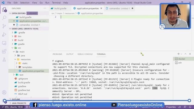 Aplicacion con springboot, docker, mysql desde cero смотреть онлайн