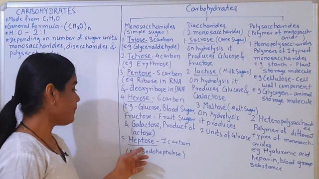 11th /Biology- Biomolecules/Carbohydrates смотреть онлайн