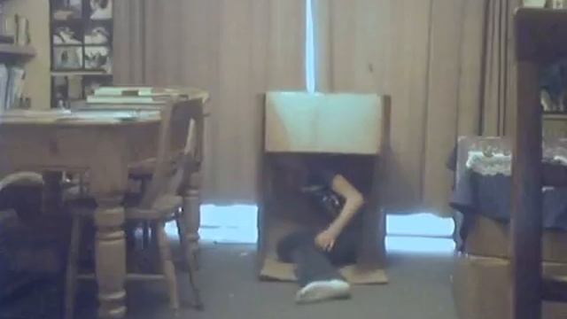Tamarins Box Trick. смотреть онлайн