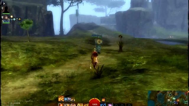 Обзор Guild Wars 2 смотреть онлайн