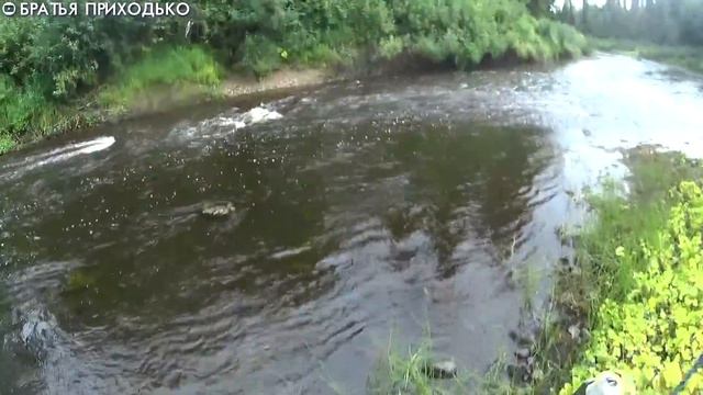 РЫБАЦКОЕ СЧАСТЬЕ / ЗАКЛЮЧИТЕЛЬНЫЙ ДЕНЬ ТРЕХДНЕВНОГО СПЛАВА смотреть онлайн