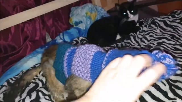 Только живи и живи, не болей! Сердцу с тобой бесконечно теплей! смотреть онлайн