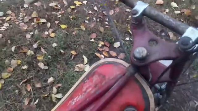 Обзор зиф 77