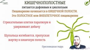 Л.33 | ПИТАНИЕ ОРГАНИЗМОВ | ОБЩАЯ БИОЛОГИЯ ЕГЭ