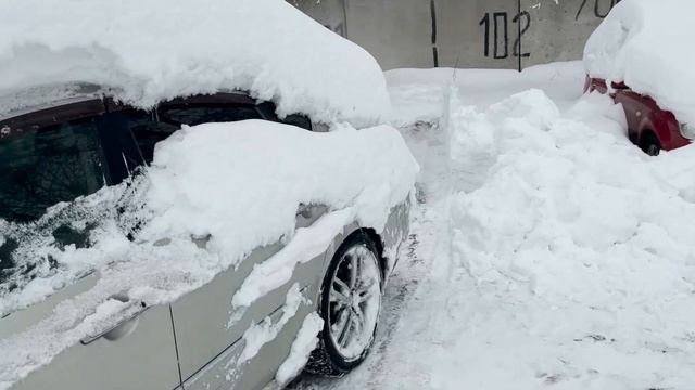 Ниссан Фуга в разборе смотреть онлайн