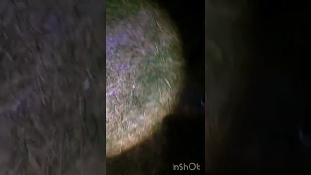 Рыбалка Белореченск 004 смотреть онлайн