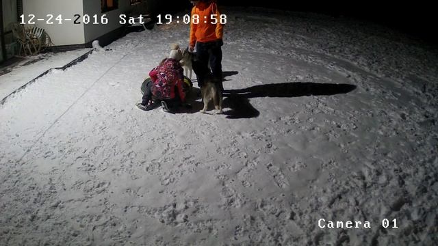 Хаски Онлайн. Husky Online (Камера на улице)
