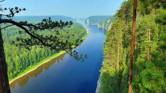 ОБ ЭКСПАНСИИ РАСТЕНИЙ БОРЩЕВИКА И ПАСТЕРНАКА смотреть онлайн