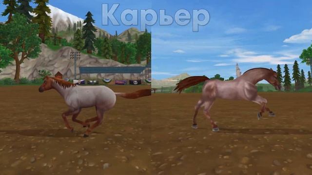 Новый VS Старый Американский Кватерхорс (аллюры и анимация) - Star Stable смотреть онлайн