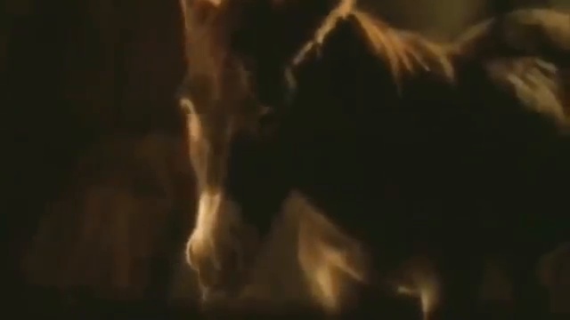 videoplayback смотреть онлайн