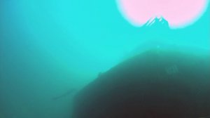 Океаны 1 серия «Море Кортеса» (документальный сериал, 2008)