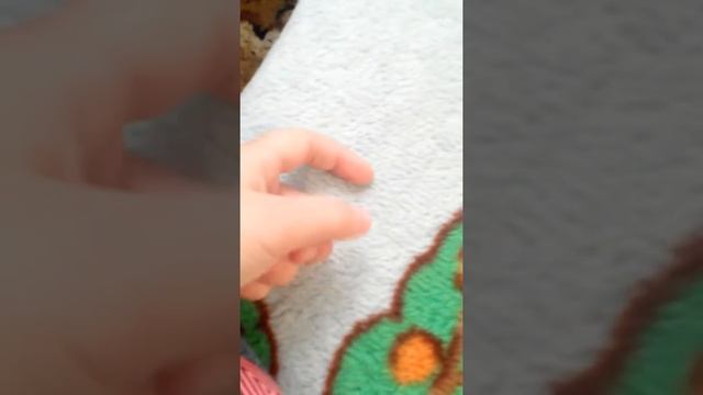 Моя собака и некоторые свединья о том как держать собак в квартире. смотреть онлайн