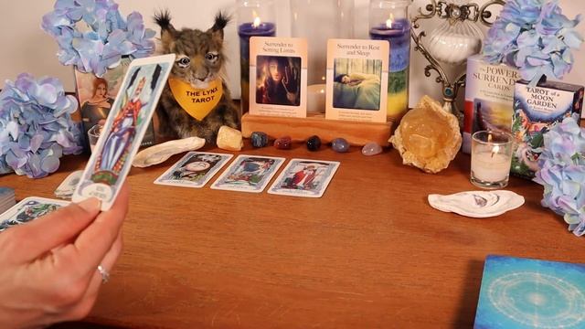 ♍VIRGO TAROT & ORACLE?WEEKLY CHECK-IN: ⭐A HUGE GIFT!⭐NEXT 7 - 14 DAYS смотреть онлайн