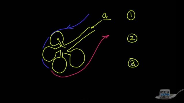 How Coronavirus Kills: Acute Respiratory Distress Syndrome (ARDS) & COVID 19 Treatment смотреть онлайн