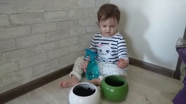 Малышка Ди выращивает лен дома смотреть онлайн