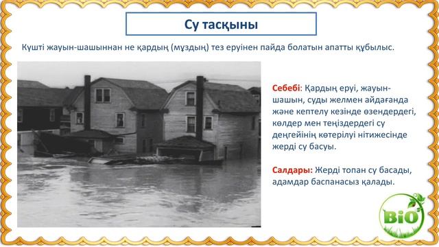 Табиғаттағы қауіпті құбылыстар 5-сынып смотреть онлайн