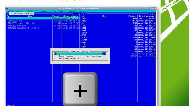 Удаление вирусов с помощью Dr.Web LiveCD смотреть онлайн