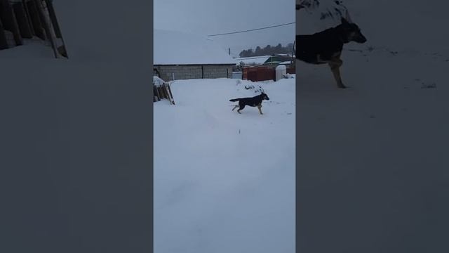 Я В ТЕНЕВОМ БАНЕ !! ПОМОГИТЕ ПОДПИСКОЙ , ЛАЙКОМ !! смотреть онлайн