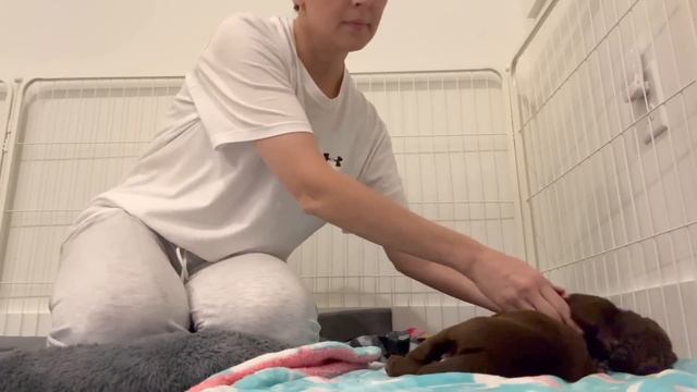 США Влог Планы по обустройству дома Опять в Эмёрдженси что сказал врач Big Big Family In The USA