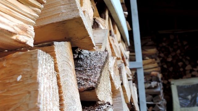 Test der Nikon coolpix P 520 #1 смотреть онлайн