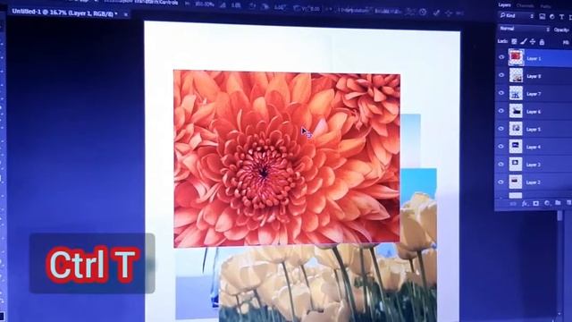 How to Move Image into Back and front in Photoshop смотреть онлайн
