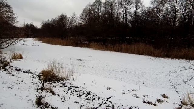 РАССТАВИЛ ЖЕРЛИЦЫ И НАЧАЛОСЬ! СЧАСТЬЕ РЫБАКА! Весь день на ногах! Куча СРАБОТОК, много ЩУКИ! смотреть онлайн